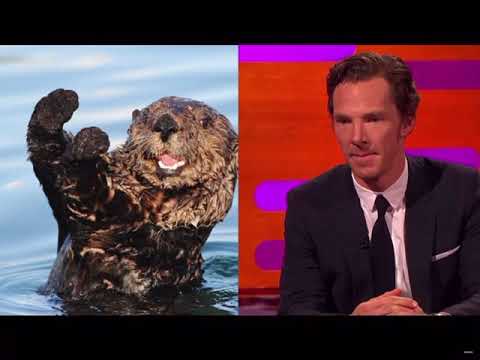 Benedict Cumberbatch being Benedict Cumberbatch for 3 minutes straight