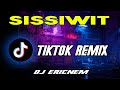 Sissiwit Igorot Song / Tiktok Viral / Dj Ericnem Remix