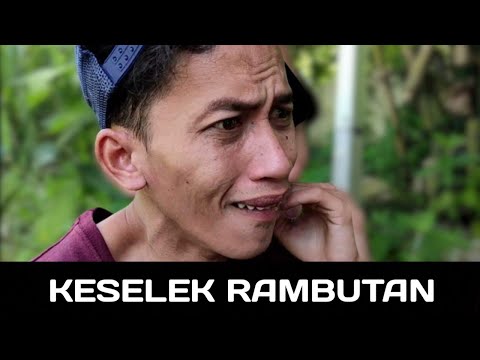 keselek-rambutanbudakkoceak