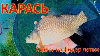 Ловля карася на фидер летом