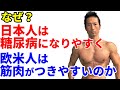 なぜ？日本人糖尿病になりやすく、欧米人は筋肉がつきやすいのか？その謎に迫る！糖尿病は肥満だけが原因ではない。