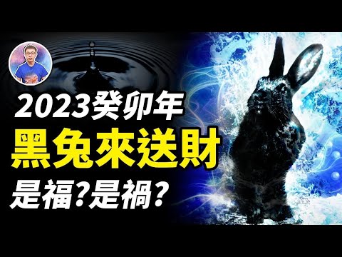 2023年什麼年