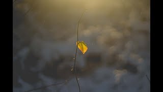 Aimo Brookmann - #04 Schon okay (Schneckenhauseffekt Albumplayer)