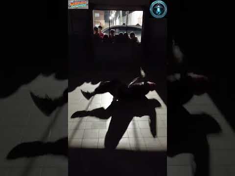 B boy Jaz, 58 años, Bronk beat crew, Ovni Squad, Berazategui, Buenos Aires, Argentina,2025