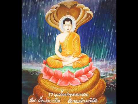 Siddhartha by Hermann Hesse - Chapter 8/12 - By the River (read by Adrian Praetzellis)