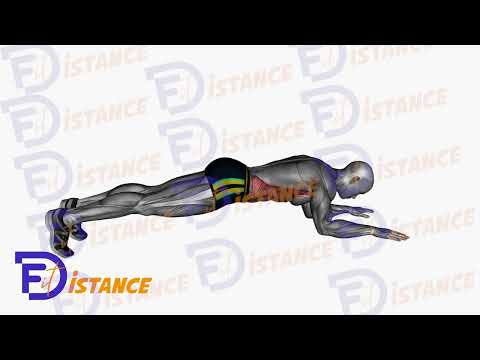 Planche sur les coudes - Exercice Planche sur les coudes en vidéo Planche sur les coudes - Exercice Planche sur les coudes en vidéo