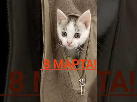 С наступающим 8 марта!🌹🌹🌹