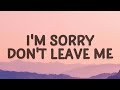 SLANDER I M Sorry Don T Leave Me I Want You Here With Me Lyrics Love Is Gone Song Lofi Music