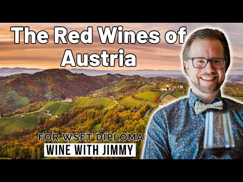 Exploring the red wines of Austria for WSET Level 4 (Diploma)