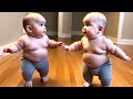 Funniest Twins Baby Playing Together Funny Baby Video II Big Daddy