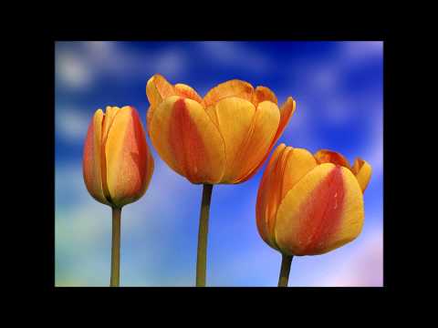 comment guerir de la depression en islam