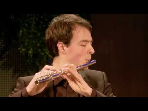 C.W.Gluck - Danse des Ombres heureuses (Orphée et Euridice)