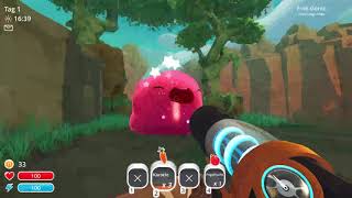 Ich hasse pinke slimes | Slime rancher #1
