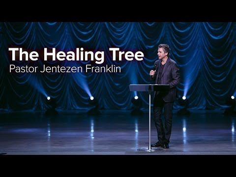 download lagu mp3 mp4 The Healing Tree, download lagu The Healing Tree gratis, unduh video klip The Healing Tree