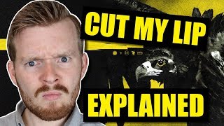 What does &quot;Cut My Lip&quot; by Twenty One Pilots mean? | Trench Explained