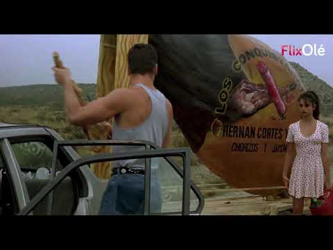 "You're a slob," "And you're a ham" | 'Ham, ham'