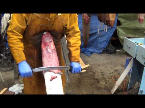 download lagu mp3 mp4 How To Clean A Muskrat, download lagu How To Clean A Muskrat gratis, unduh video klip How To Clean A Muskrat