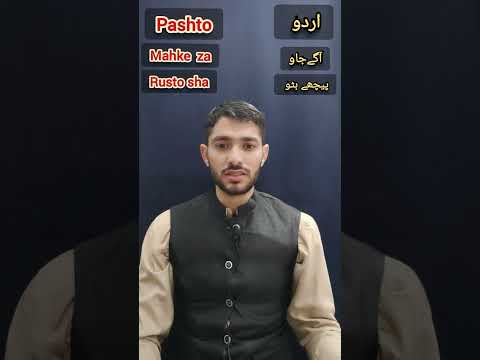 Learn Pashto in simple words #shortvideo #shortviral