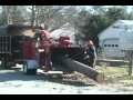 Tree And Shrub Services Removal Trimming Pruning Planting Cape Cod South Shore MA