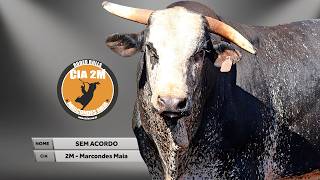 SEM ACORDO (Cia. 2M) - MELHOR TOURO / Rodeio de RIO VERDE 2026