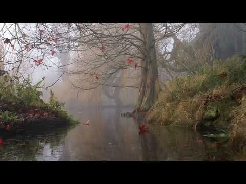 Tujhe Dekhkar Dhadakta Hai Dil