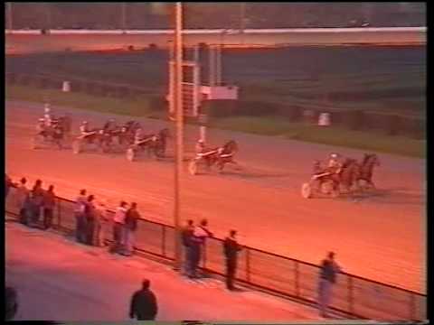 1995. Öt évesek ND. Talány