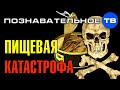 Виктория Бутенко: Пищевая катастрофа 