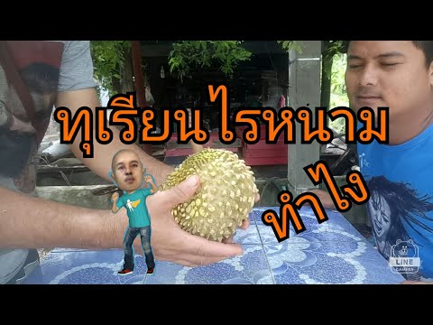 เพิ่มขึ้นเมล็ดแฟลกซ์แรง Sustanon และความแข็งแรงในผู้ชาย