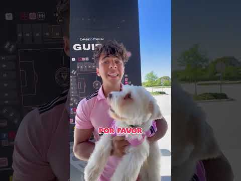 Meu cachorro é fã do MESSI 🐶