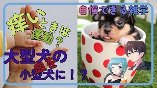 聞くとちょっとだけ自慢できる雑学５選