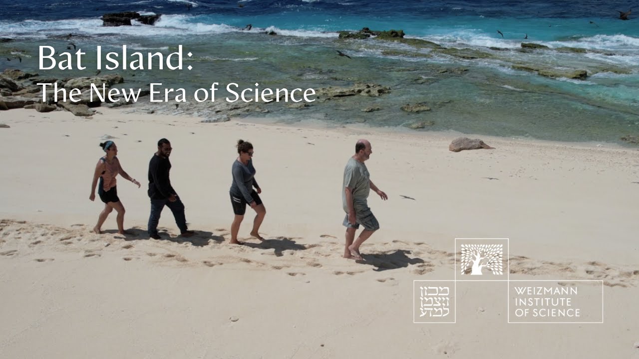 Bat Island: The new era of science