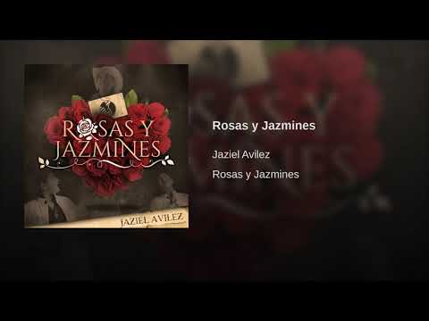 Rosas y jazmines