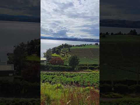 Lago de Tota - Boyacá 🌄🌍