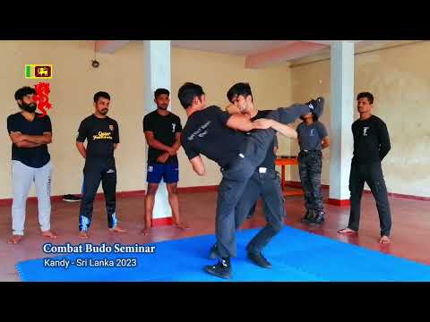 Combat Budo - Way of Reality