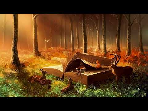 Symbolico - Live - BOOM Festival 2018 [Chill Out Gardens] ᴴᴰ