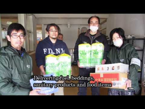 Japan Earthquake Relief Project
