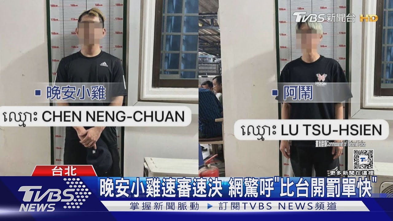 晚安小雞速審速決 網驚呼「比台開罰單快」