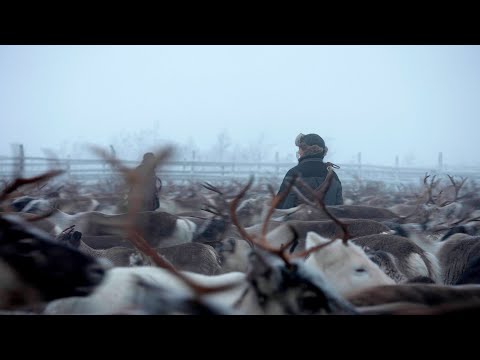 Borderline - Radji | Trailer | Out March 3 on TrueStory.film