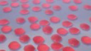 AMV - NANA - Ashlee Simpson - Beautifully Broken