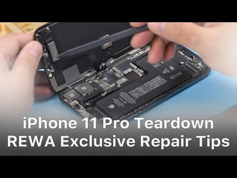 iPhone 11 Pro Teardown- REWA Exclusive Repair Tips