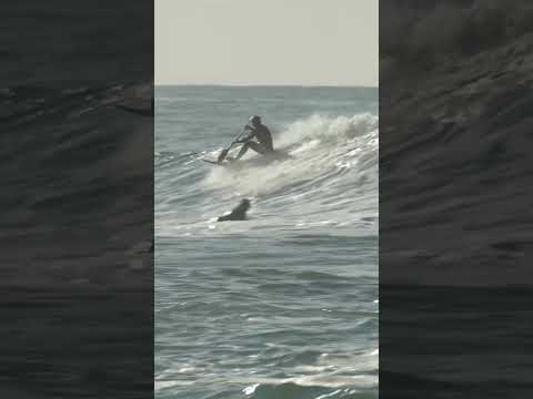 Kiwi Rates Sydney Surfing  Breaks, Avalon Beach - Sunrise