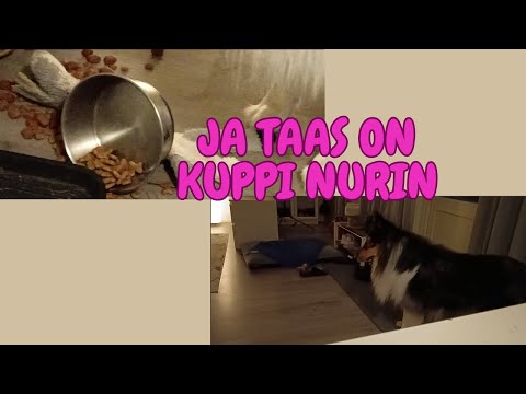 LÄÄKÄRI REISSU | Camulla ei pysy kuppi pystyssä 🤣