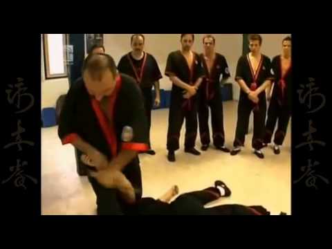 SI-FU SZELL GABOR LT Wing Tsun Kuen Si-Kung Norbert Máday