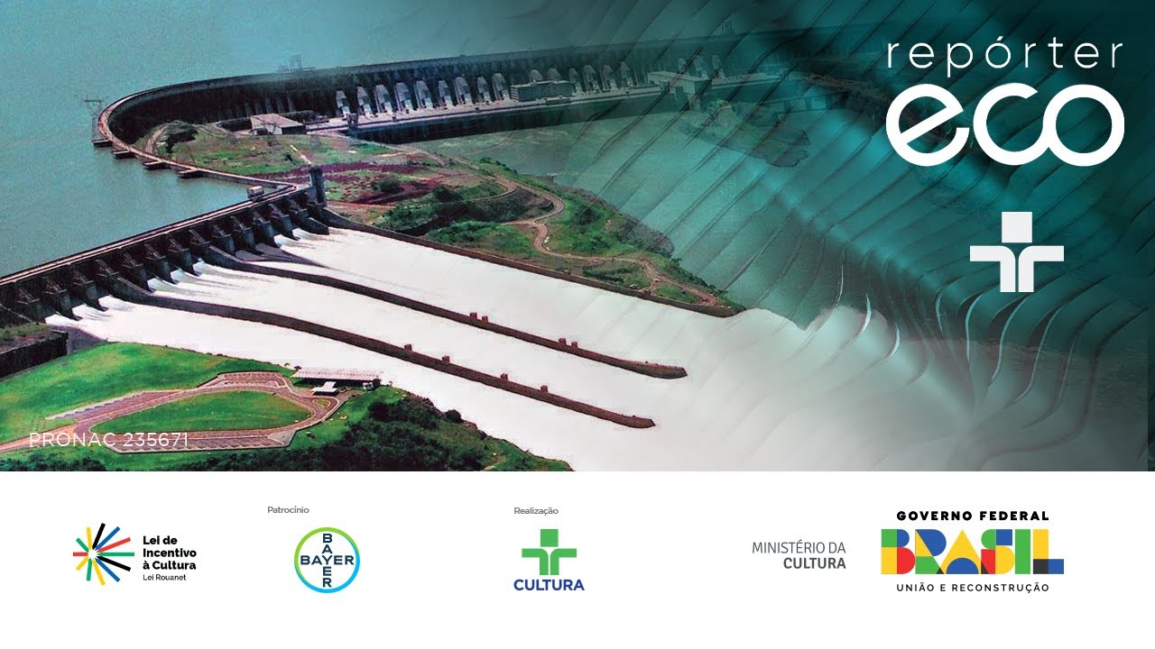 Repórter Eco | Restauração da biodiversidade | 25/08/2024