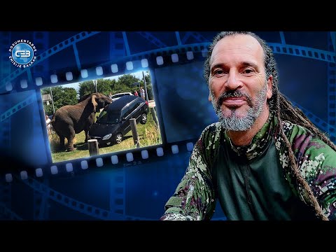 BALKAN INFO: Vedran Bađun - Slon nas je napao u Africi, od njega ne možete pobeći!