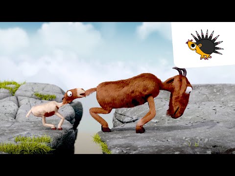 Kopf hoch, kleine Ziege! | Trickfilm | Ich kenne ein Tier | Animation