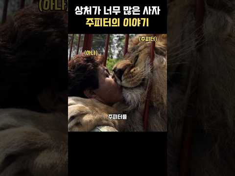 상처 많은 숫사자 주피터의 슬픈 이야기