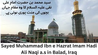 Syed Muhammad Ibn e Hazrat Imam Ali Naqi Roza in Balad Iraq | Syed Muhammad Ki Mannat for Childrens