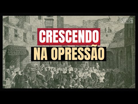 Exodus 1 Study: GROWING IN OPPRESSION (Bible Explained)