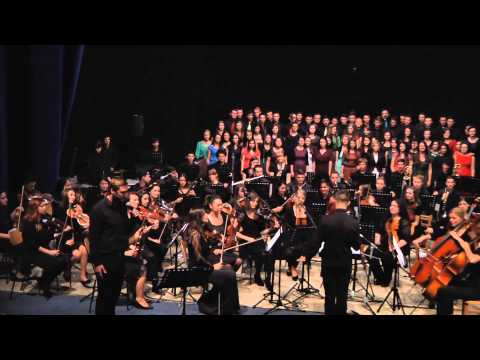 Sorin Raica & Sanctus Pro Deo - Sunt Un Pribeag